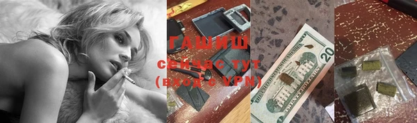 a pvp Магас