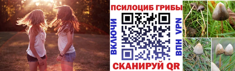 Галлюциногенные грибы ЛСД  KRAKEN как зайти  Устюжна 